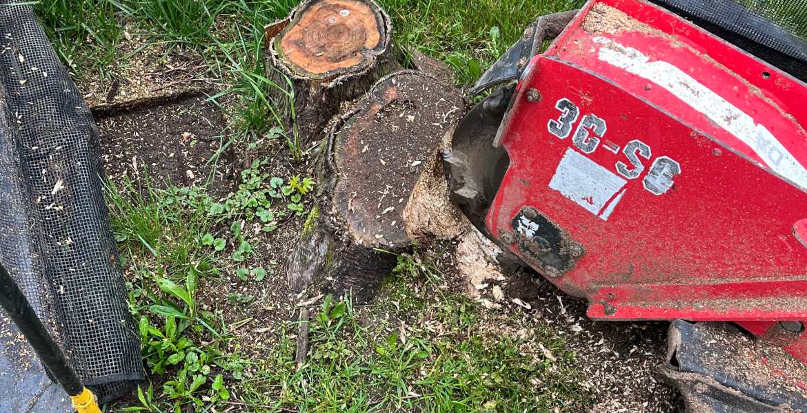 Stump Pros